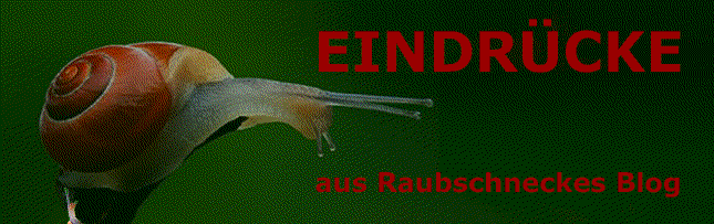 Eindrücke - Raubschneckes Blog